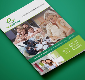 <span>WDF Energy – brochure</span><i>→</i>